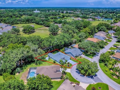 New Price!! New Staging  Photos! ~oNew ROOF 2021o~ Live Oaks on The Links of Spruce Creek in Florida - for sale on GolfHomes.com, golf home, golf lot