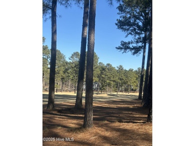 Wonderfully located lot on the 11th hole of the North golf on Forest Creek Golf Club  in North Carolina - for sale on GolfHomes.com, golf home, golf lot