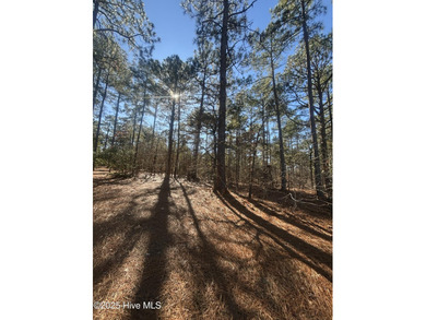 Wonderfully located lot on the 11th hole of the North golf on Forest Creek Golf Club  in North Carolina - for sale on GolfHomes.com, golf home, golf lot