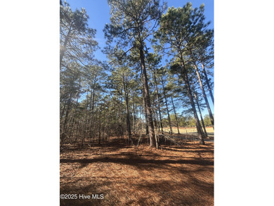 Wonderfully located lot on the 11th hole of the North golf on Forest Creek Golf Club  in North Carolina - for sale on GolfHomes.com, golf home, golf lot