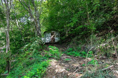 134 Wildwood Way is a survey supported 7.0-acre land parcel with on Bent Creek Golf Course in Tennessee - for sale on GolfHomes.com, golf home, golf lot