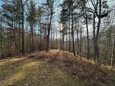 Beautiful 1.4 acre waterfront homesite at The Cliffs at Keowee on The Cliffs At Keowee Vineyards Golf Club in South Carolina - for sale on GolfHomes.com, golf home, golf lot