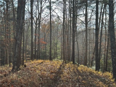 Beautiful 1.4 acre waterfront homesite at The Cliffs at Keowee on The Cliffs At Keowee Vineyards Golf Club in South Carolina - for sale on GolfHomes.com, golf home, golf lot