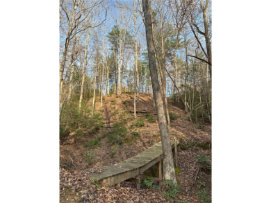 Beautiful 1.4 acre waterfront homesite at The Cliffs at Keowee on The Cliffs At Keowee Vineyards Golf Club in South Carolina - for sale on GolfHomes.com, golf home, golf lot
