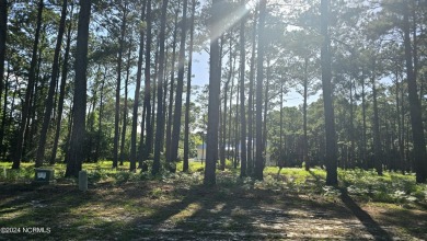 Beautiful lot on a pond located in the Private Development of on Founders Club At St. James Plantation in North Carolina - for sale on GolfHomes.com, golf home, golf lot