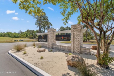 Welcome to easy coastal living in this beautifully maintained on Sea Trail Golf Resort in North Carolina - for sale on GolfHomes.com, golf home, golf lot