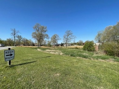 This 1.74 acre lot is a unit of its own.  This is classified as on Holiday Island Golf Course in Arkansas - for sale on GolfHomes.com, golf home, golf lot