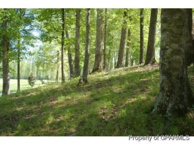 Build your dream house on this beautiful, hilly lot overlooking on Ironwood Golf and Country Club in North Carolina - for sale on GolfHomes.com, golf home, golf lot