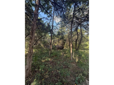 Build your dream home on this .46-acre lot in the desirable on Holiday Island Executive Golf Course in Arkansas - for sale on GolfHomes.com, golf home, golf lot