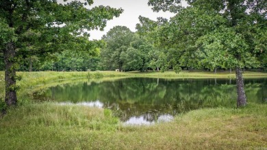 Welcome to a unique opportunity to create your perfect haven on  in Arkansas - for sale on GolfHomes.com, golf home, golf lot