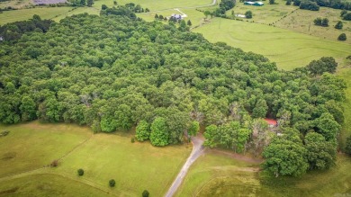 Welcome to a unique opportunity to create your perfect haven on  in Arkansas - for sale on GolfHomes.com, golf home, golf lot