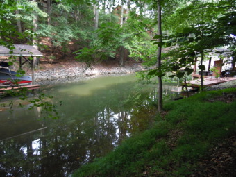 Incredible opportunity on this gently sloped & wooded waterfront on The Waterfront Country Club in Virginia - for sale on GolfHomes.com, golf home, golf lot