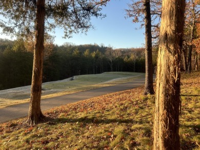 Welcome to your dream canvas, where the possibilities are as on Ledgestone Country Club and Golf Course in Missouri - for sale on GolfHomes.com, golf home, golf lot