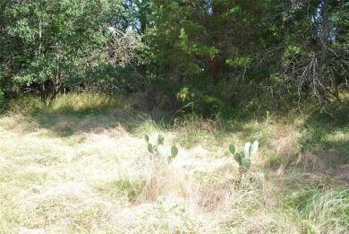 Get away from in all in White Bluff Resorte enjoy relaxed living on White Bluff Resort - Old Course in Texas - for sale on GolfHomes.com, golf home, golf lot
