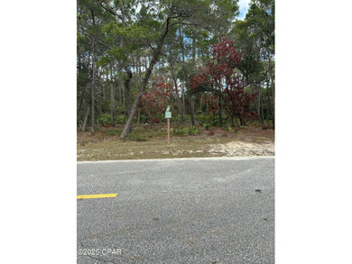 Nice buildable lot available in Wild Heron, a 734-Acre Coastal on Sharks Tooth Golf Club in Florida - for sale on GolfHomes.com, golf home, golf lot