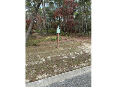 Nice buildable lot available in Wild Heron, a 734-Acre Coastal on Sharks Tooth Golf Club in Florida - for sale on GolfHomes.com, golf home, golf lot