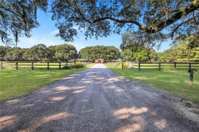 Rare opportunity to own in premier luxury community of Spring on Old Tabby Links on Spring Island in South Carolina - for sale on GolfHomes.com, golf home, golf lot