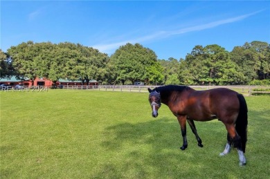 Rare opportunity to own in premier luxury community of Spring on Old Tabby Links on Spring Island in South Carolina - for sale on GolfHomes.com, golf home, golf lot