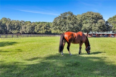 Rare opportunity to own in premier luxury community of Spring on Old Tabby Links on Spring Island in South Carolina - for sale on GolfHomes.com, golf home, golf lot