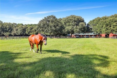 Rare opportunity to own in premier luxury community of Spring on Old Tabby Links on Spring Island in South Carolina - for sale on GolfHomes.com, golf home, golf lot