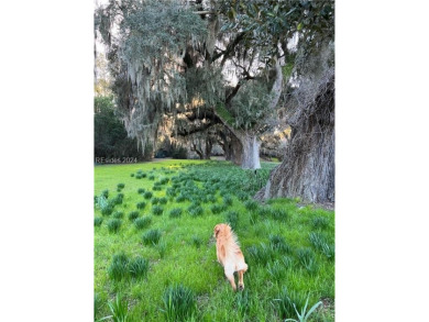 Rare opportunity to own in premier luxury community of Spring on Old Tabby Links on Spring Island in South Carolina - for sale on GolfHomes.com, golf home, golf lot