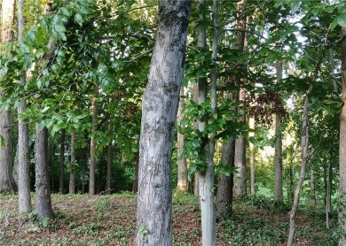 One of the last remaining lots in the Country Club area.  Easy on Lexington Golf Club in North Carolina - for sale on GolfHomes.com, golf home, golf lot