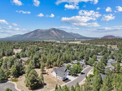 Forget cookie-cutter, this home breaks the mold. Where style on Continental Country Club in Arizona - for sale on GolfHomes.com, golf home, golf lot