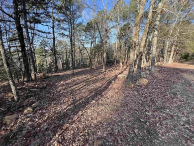 Great views can be achieved by clearing a path to the white line on Mountain Ranch Golf Club in Arkansas - for sale on GolfHomes.com, golf home, golf lot