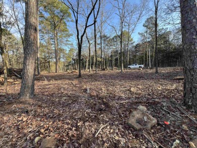Great views can be achieved by clearing a path to the white line on Mountain Ranch Golf Club in Arkansas - for sale on GolfHomes.com, golf home, golf lot