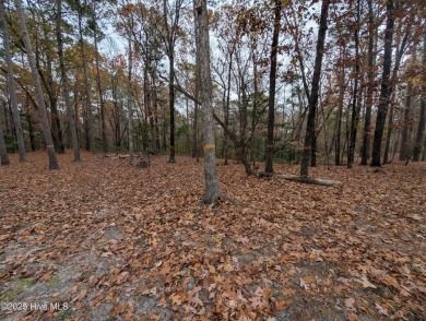 This beautiful, high elevation & fully fenced in lot is located on Minnesott Golf and Country Club in North Carolina - for sale on GolfHomes.com, golf home, golf lot