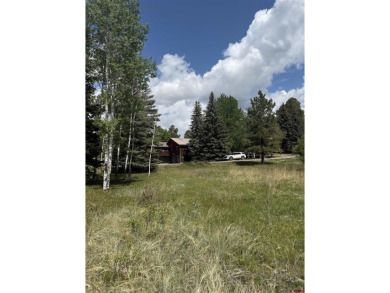 Marcie Lewis, Jann C Pitcher Real Estate, C: , marcie,  : Don't on Pagosa Springs Golf Club in Colorado - for sale on GolfHomes.com, golf home, golf lot