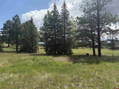 Marcie Lewis, Jann C Pitcher Real Estate, C: , marcie,  : Don't on Pagosa Springs Golf Club in Colorado - for sale on GolfHomes.com, golf home, golf lot