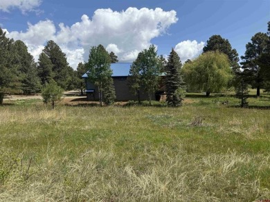 Marcie Lewis, Jann C Pitcher Real Estate, C: , marcie,  : Don't on Pagosa Springs Golf Club in Colorado - for sale on GolfHomes.com, golf home, golf lot