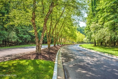 Indulge in luxury living amidst unparalleled amenities with this on Tennessee National Golf Club in Tennessee - for sale on GolfHomes.com, golf home, golf lot