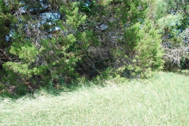 Get away from in all in White Bluff Resort.  Enjoy peace & on White Bluff Resort - Old Course in Texas - for sale on GolfHomes.com, golf home, golf lot