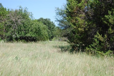 Get away from in all in White Bluff Resort.  Enjoy peace & on White Bluff Resort - Old Course in Texas - for sale on GolfHomes.com, golf home, golf lot