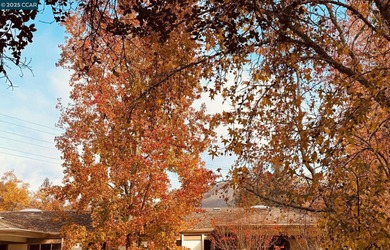 Beautiful one-bedroom, one-bath Del Monte unit offering comfort on Rossmoor Golf Course in California - for sale on GolfHomes.com, golf home, golf lot