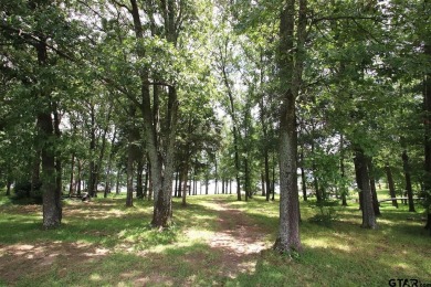 Welcome to Lot 29 in the prestigious Lake Fork Country Club on Lake Fork Golf Club - Wood County in Texas - for sale on GolfHomes.com, golf home, golf lot
