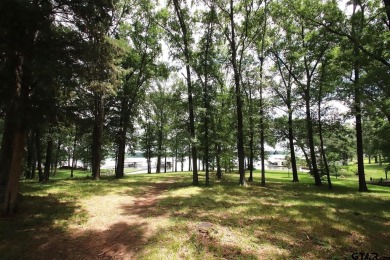 Welcome to Lot 29 in the prestigious Lake Fork Country Club on Lake Fork Golf Club - Wood County in Texas - for sale on GolfHomes.com, golf home, golf lot