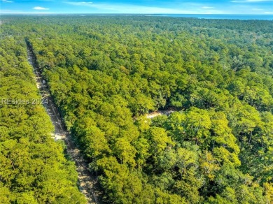 Discover the charm of Daufuskie Island with this unique .33-acre on Bloody Point Golf Course and Resort in South Carolina - for sale on GolfHomes.com, golf home, golf lot