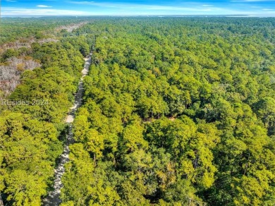 Discover the charm of Daufuskie Island with this unique .33-acre on Bloody Point Golf Course and Resort in South Carolina - for sale on GolfHomes.com, golf home, golf lot