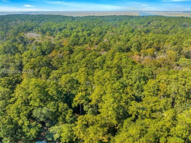 Discover the charm of Daufuskie Island with this unique .33-acre on Bloody Point Golf Course and Resort in South Carolina - for sale on GolfHomes.com, golf home, golf lot