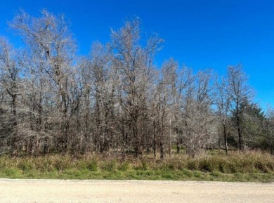 Nestled in a peaceful and picturesque setting, this exceptional on Pine Forest Golf Club in Texas - for sale on GolfHomes.com, golf home, golf lot