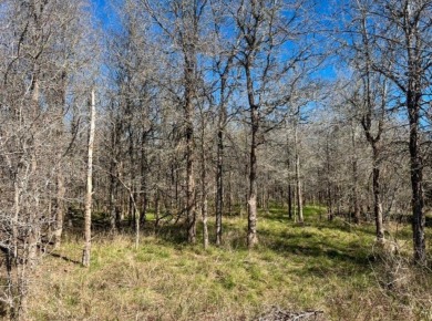 Nestled in a peaceful and picturesque setting, this exceptional on Pine Forest Golf Club in Texas - for sale on GolfHomes.com, golf home, golf lot