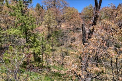 Seller Financing is Available! Embrace Lake Arrowhead Living on on Lake Arrowhead Country Club in California - for sale on GolfHomes.com, golf home, golf lot
