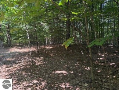 If you've been searching for the perfect Leelanau County vacant on The Leelanau Club At Bahle Farms in Michigan - for sale on GolfHomes.com, golf home, golf lot