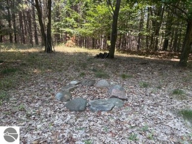 If you've been searching for the perfect Leelanau County vacant on The Leelanau Club At Bahle Farms in Michigan - for sale on GolfHomes.com, golf home, golf lot