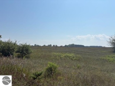 If you've been searching for the perfect Leelanau County vacant on The Leelanau Club At Bahle Farms in Michigan - for sale on GolfHomes.com, golf home, golf lot
