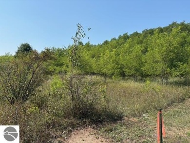 If you've been searching for the perfect Leelanau County vacant on The Leelanau Club At Bahle Farms in Michigan - for sale on GolfHomes.com, golf home, golf lot