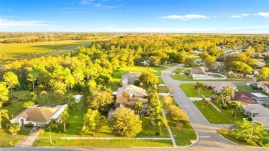 Welcome to your dream home in the heart of Wedgefield! This on Wedgefield Golf Club in Florida - for sale on GolfHomes.com, golf home, golf lot